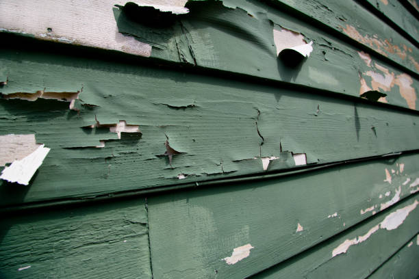 Salida, CO Junk Removal Company